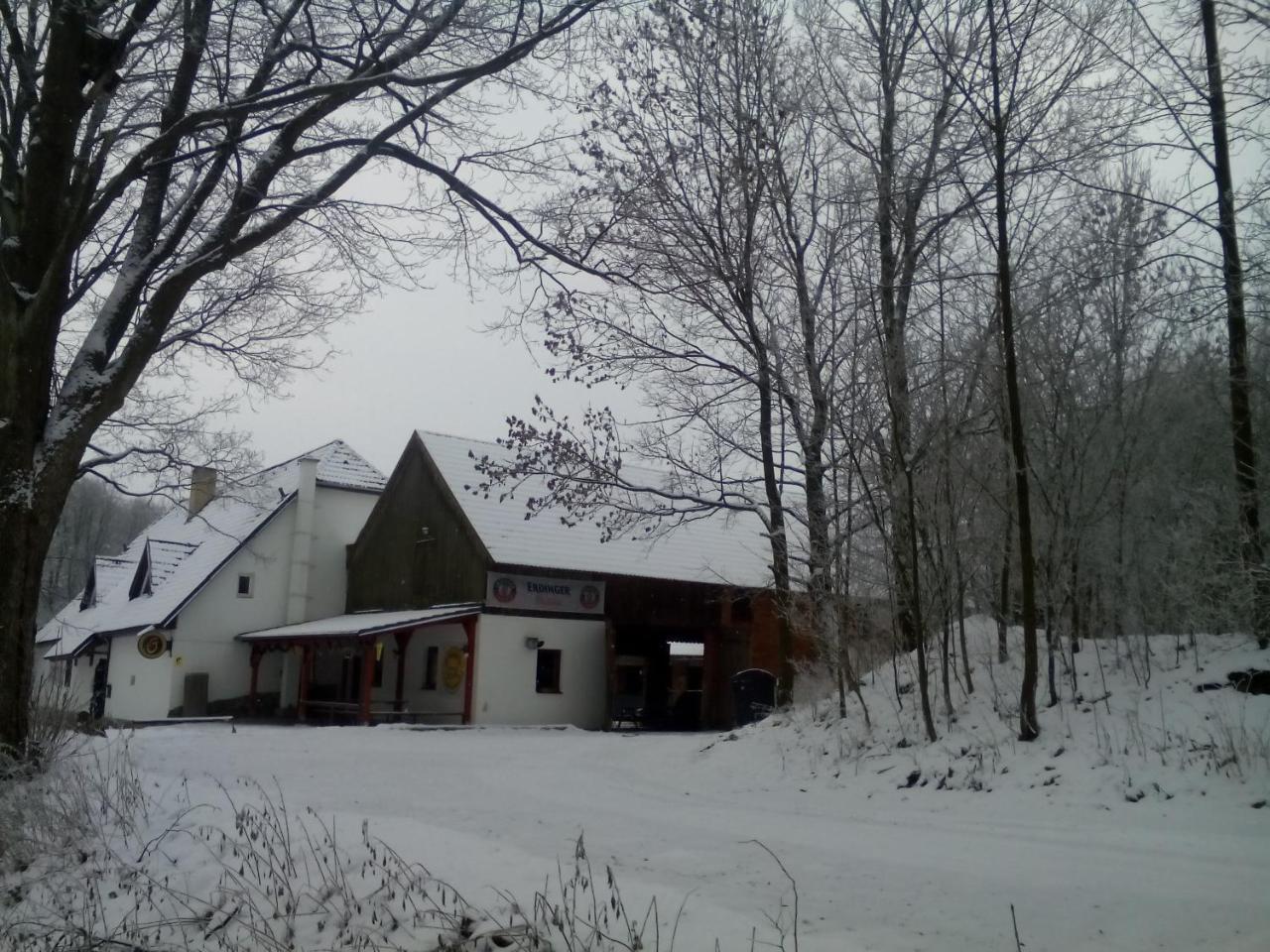 Penzion U Dvojice Нове-Место-на-Мораве Экстерьер фото